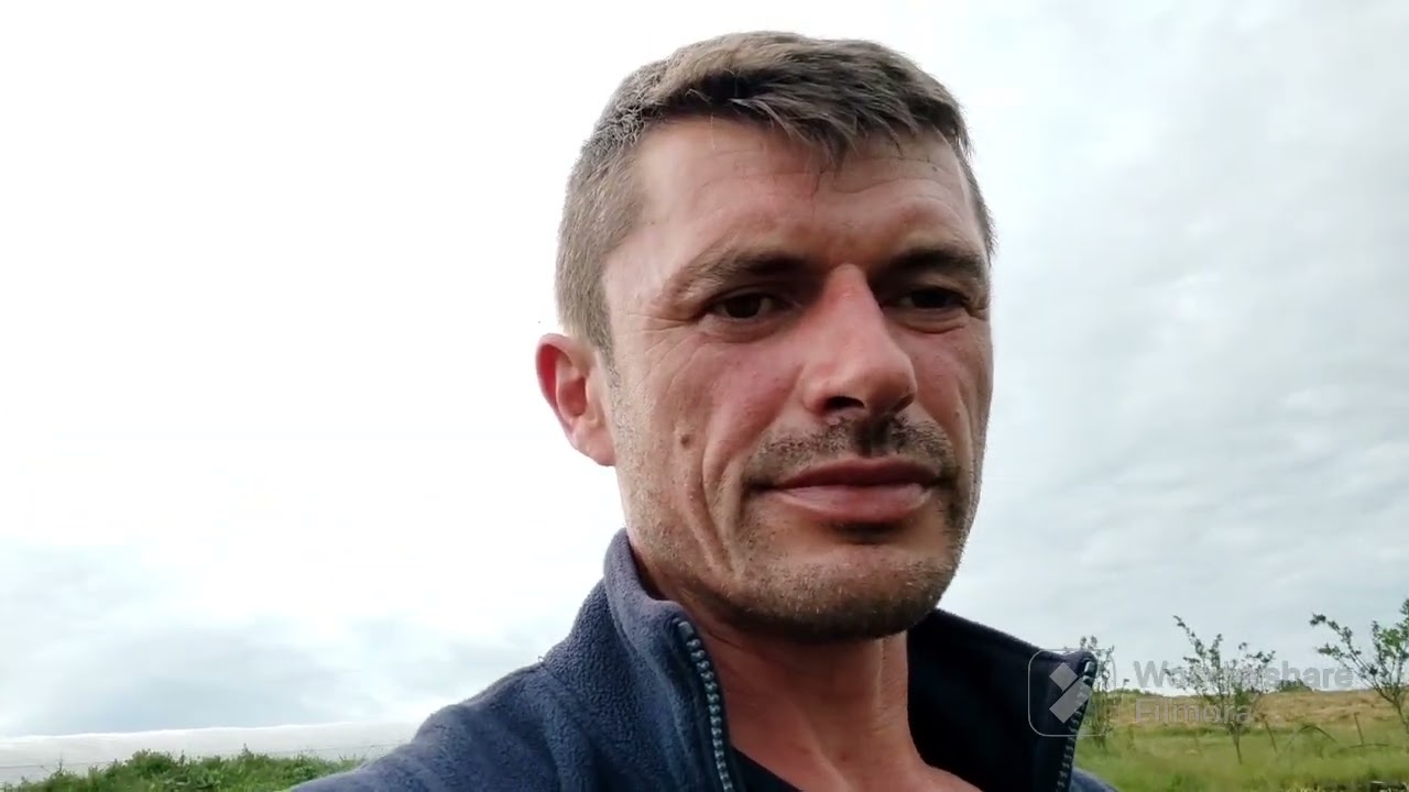 Am plantat Vinete la etaj și am aplicat maceratul bombă 🤔