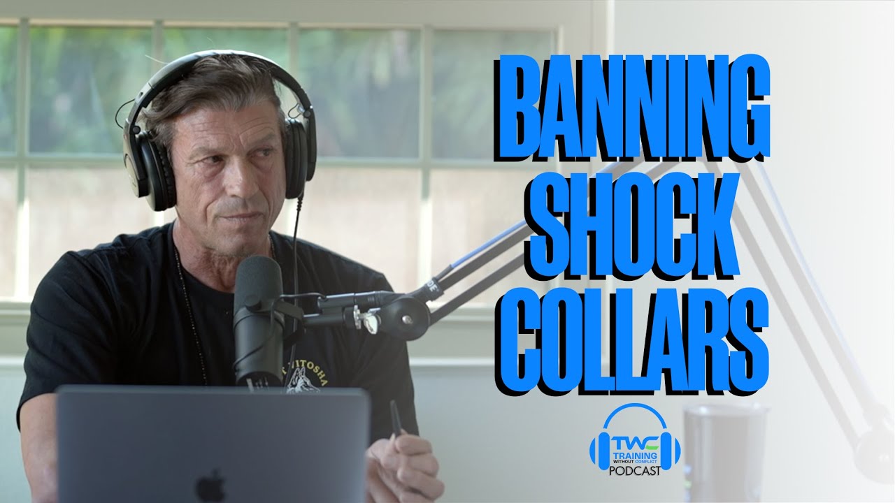 ARE SHOCK COLLAR BANS EFFECTIVE? || Ivan Balabanov and Susan Garrett on the TWC Podcast