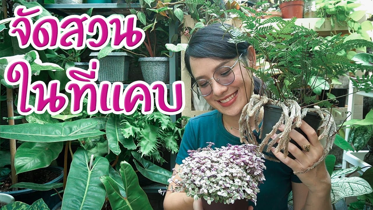 พาชมสวนในบ้าน โซนที่แคบ จัดยังไงดี