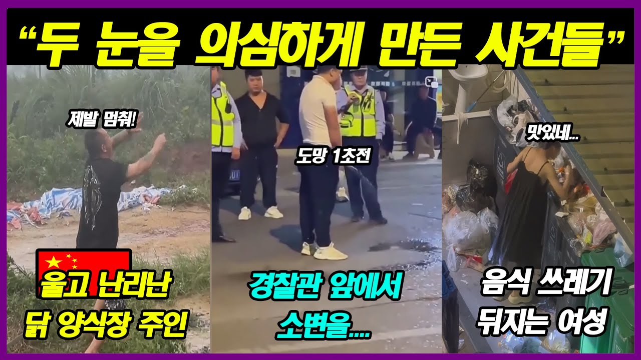 중국반응 | 비위 상함 주의! 중국에서만 볼수 있는 기형적 사건 사고들