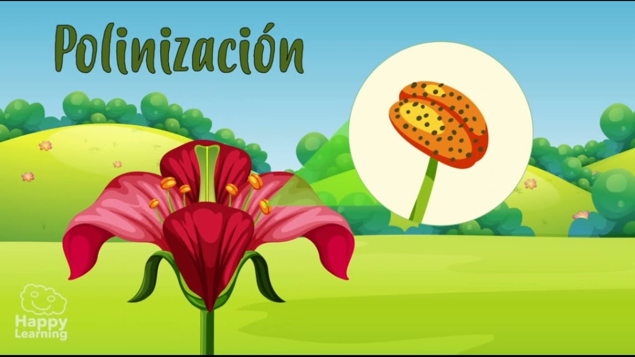 LA REPRODUCCI&Oacute;N EN LAS PLANTAS