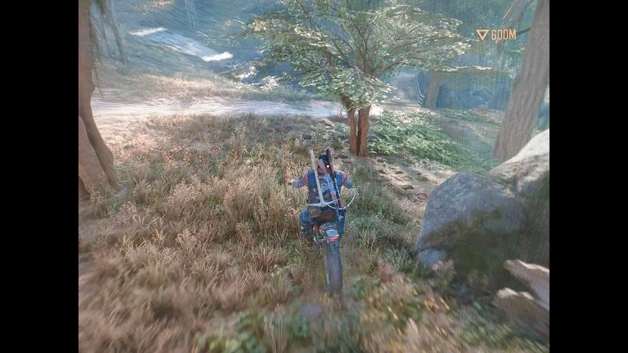 Days Gone игра на время