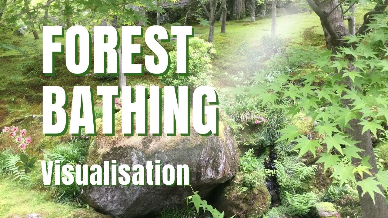 Forest Bathing and Tree Hugging - Source of Energy - A guided Visualisation