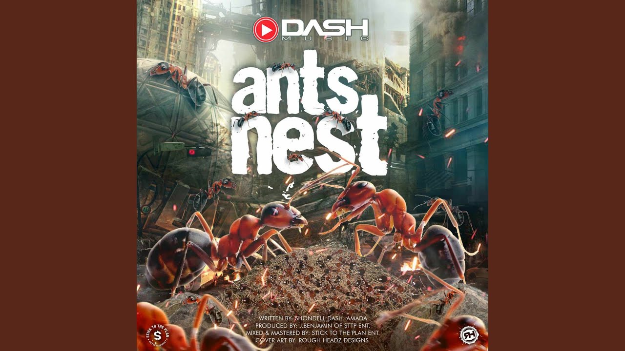Ants Nest