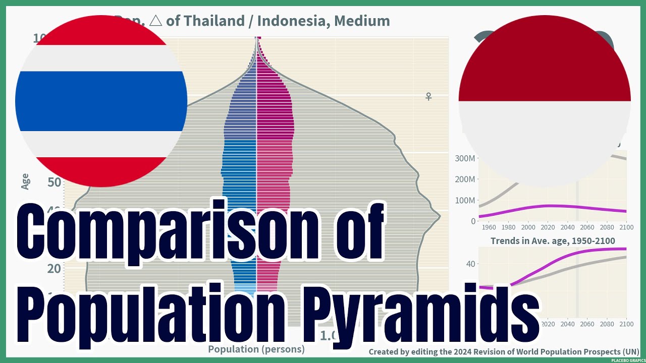 [🇹🇭Thailand vs 🇮🇩Indonesia] Comparison of Population Pyramids (1950-2100), 4 scenarios, #wpp2024