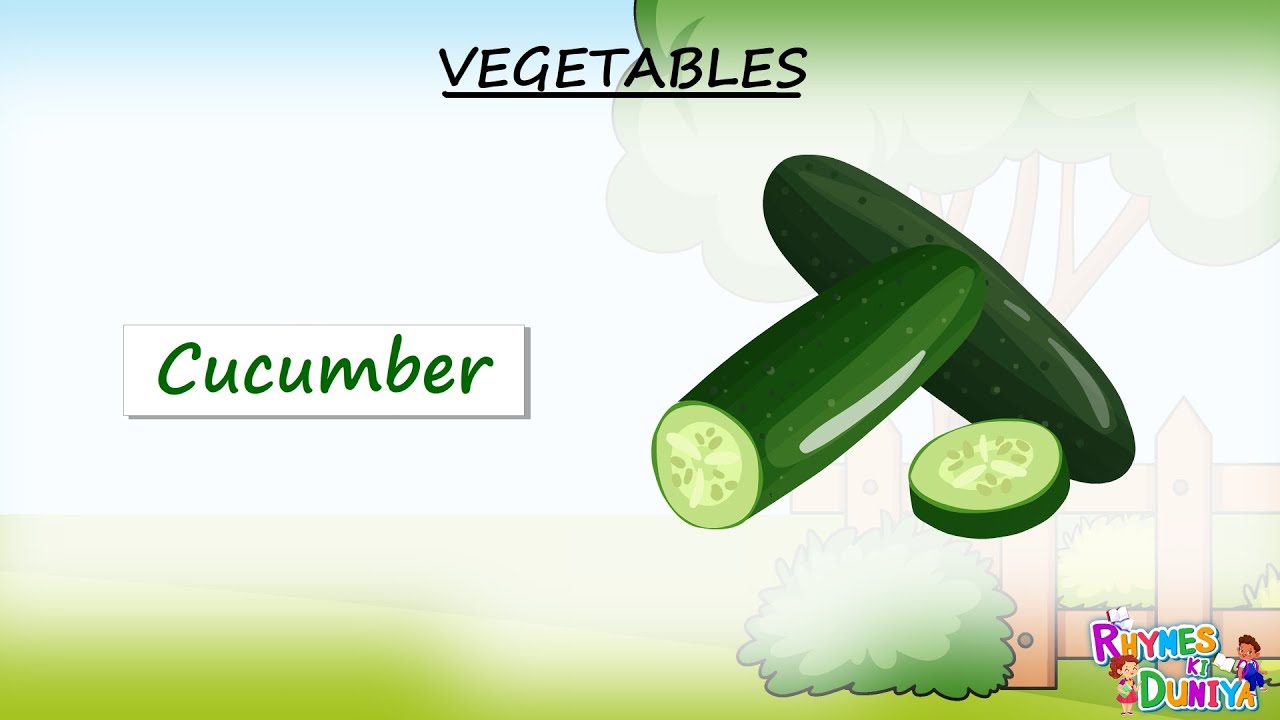 VEGETABLES NAMES in English For Kids | First Words for Babies | Learning Videos for Toddlers | KIDS