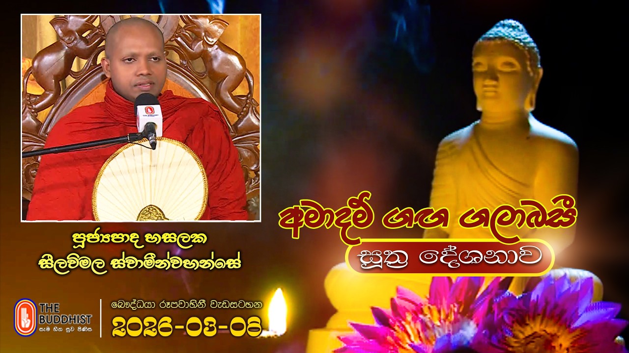 Ven Hasalaka Seelawimala Thero | 2026-03-08 | 04:00PM (සූත්‍ර දේශනාව)