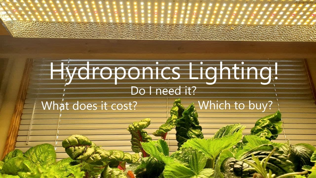 Choosing Lighting for Indoor Hydroponics