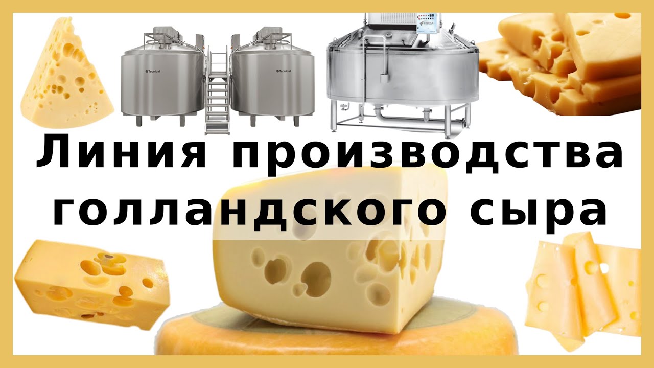 Машинно-аппаратурная схема линии производства голландского сыра