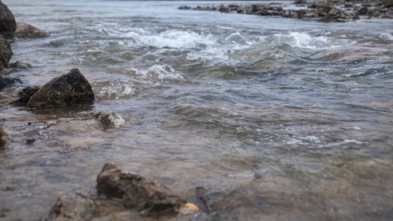 Relaxing River Flowing Into the Ocean | Natural Water Sounds