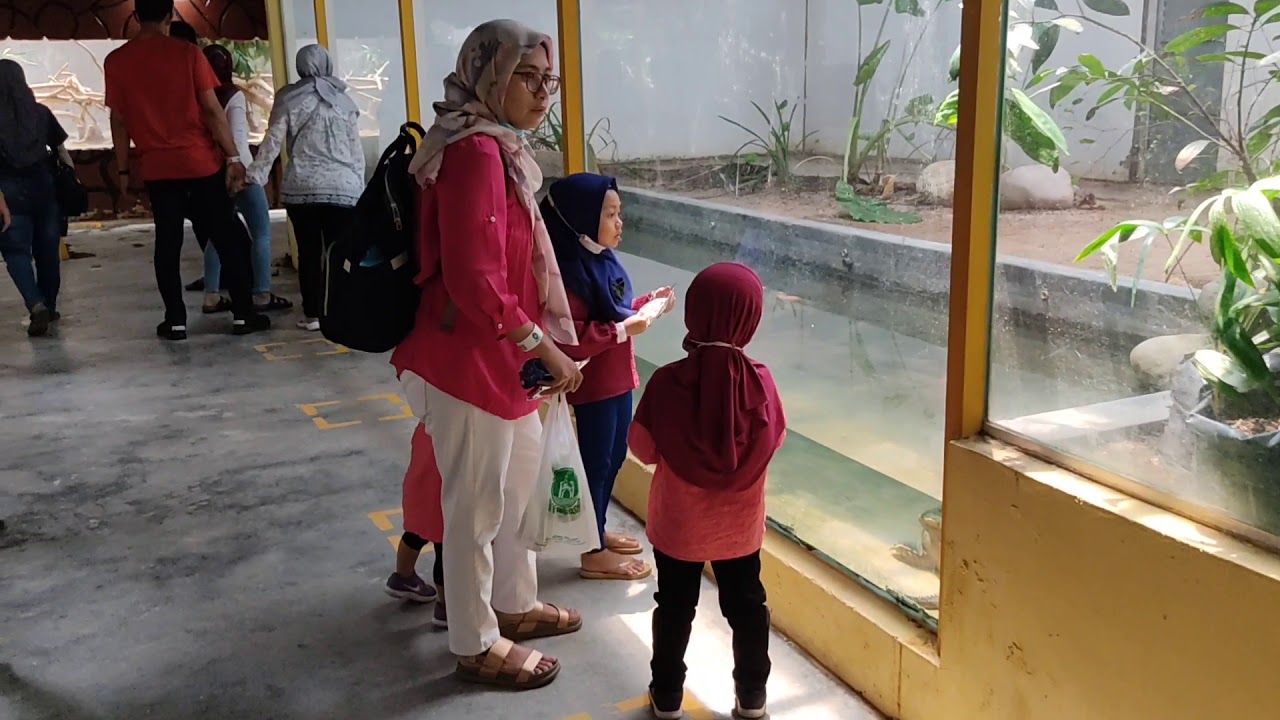 A'Famosa Safari Wonderland