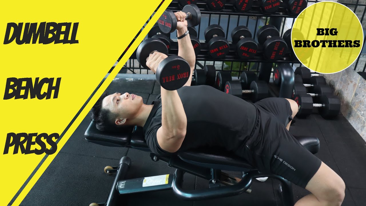 Dumbbell Bench Press (hướng dẫn tập) - Dumbell Bench Press Tutorial