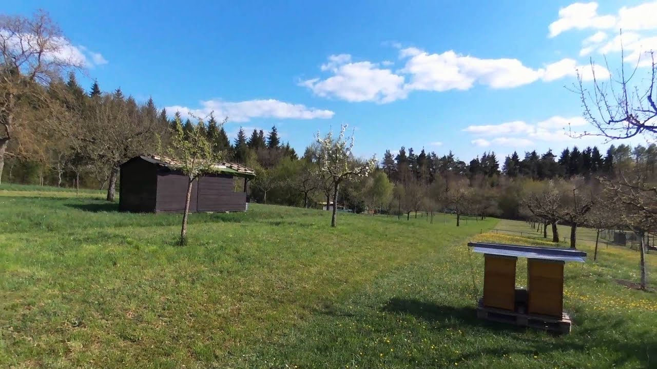 Parrot Bebop Drone: Quadrocopter mit 14-Megapixel-Weitwinkel-Kamera im Test