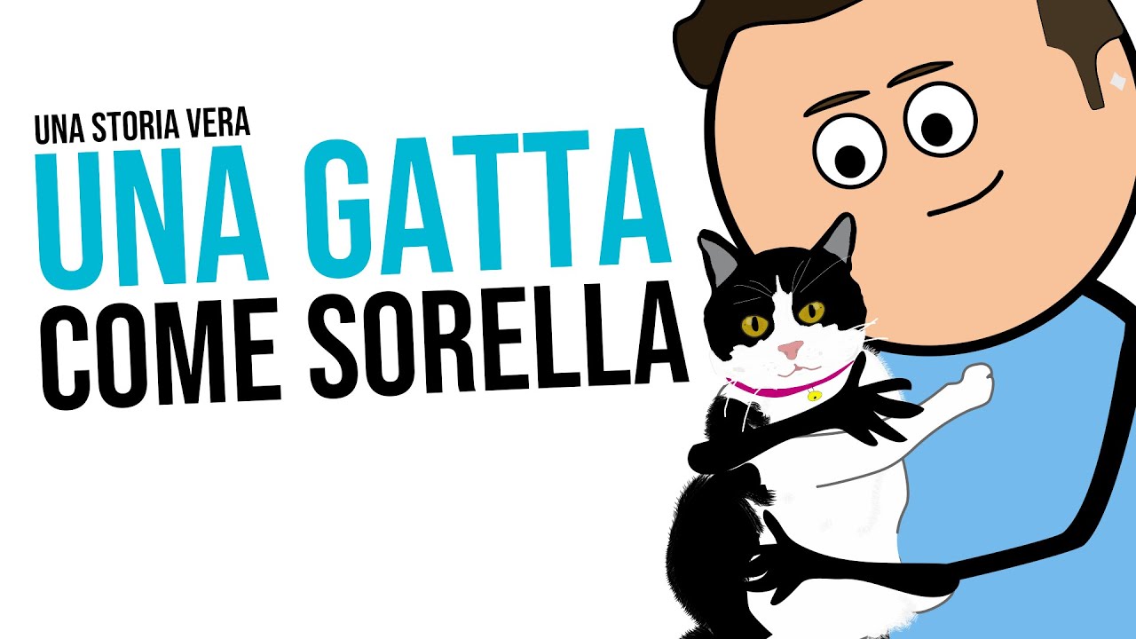 UNA GATTA COME SORELLA - UNA STORIA VERA - CARTOON