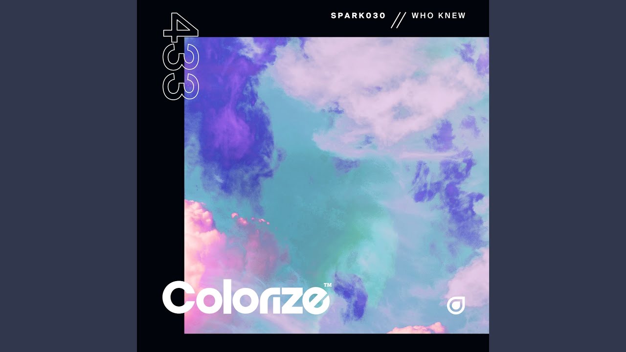 Who Knew (Extended Mix)