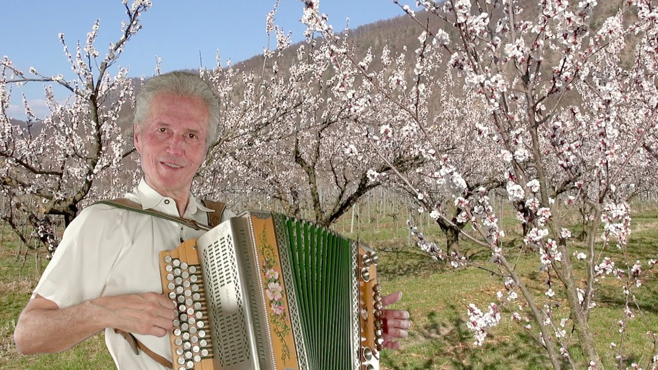 Diamantenpolka auf der Steirischen von Gottfried Kletzmair ( G-C-F-B )