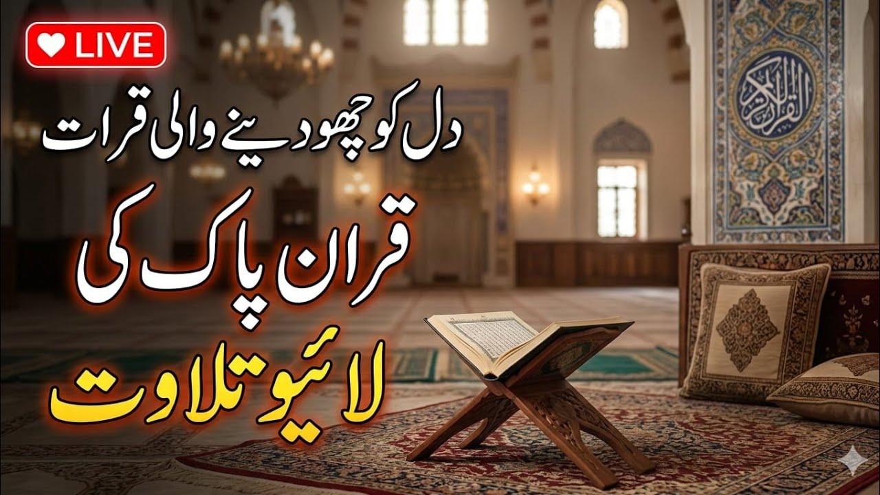 Powerful: Beautiful Quran Recitation LIVE | Feel the Peace in Your Heart