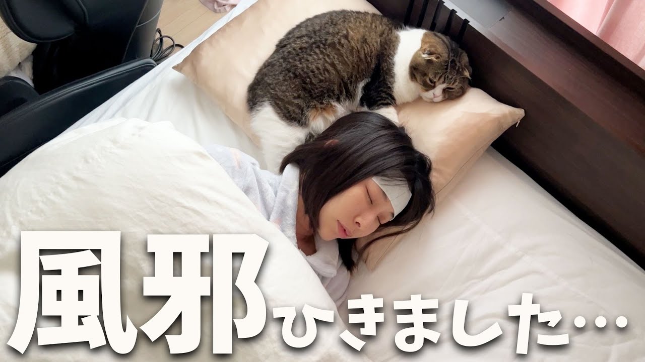 寝込んだママから離れずつきっきりで看病してくれるパパ猫がこちら