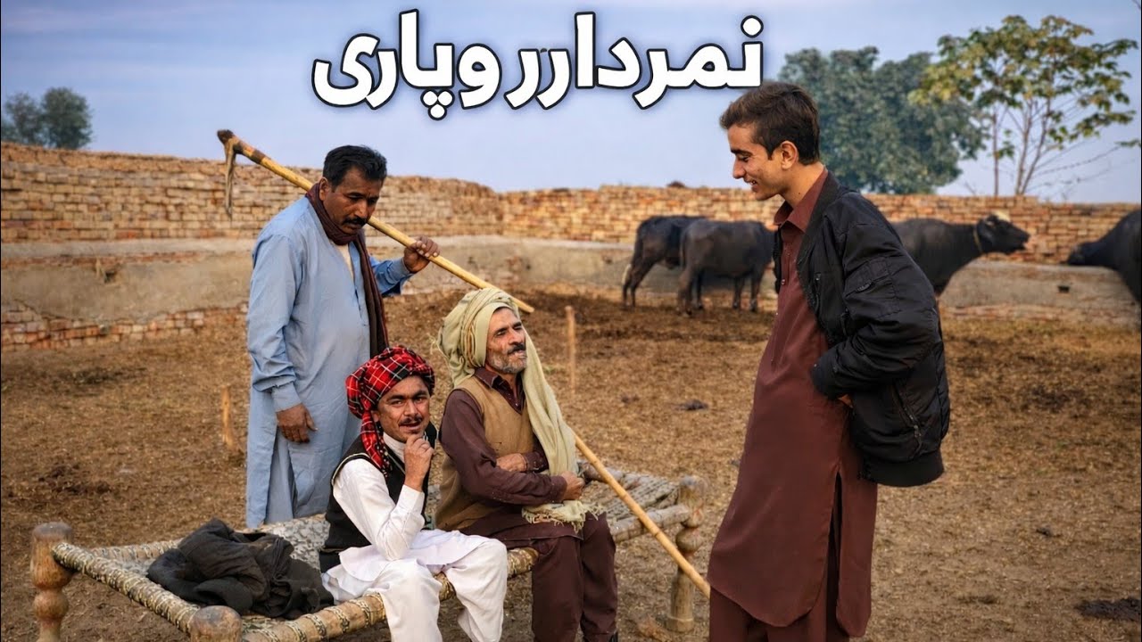 Number Daar Aur Malangi Behans Ki Talash New Punjabi Funny Video | Most Comedy Video | HD 2026