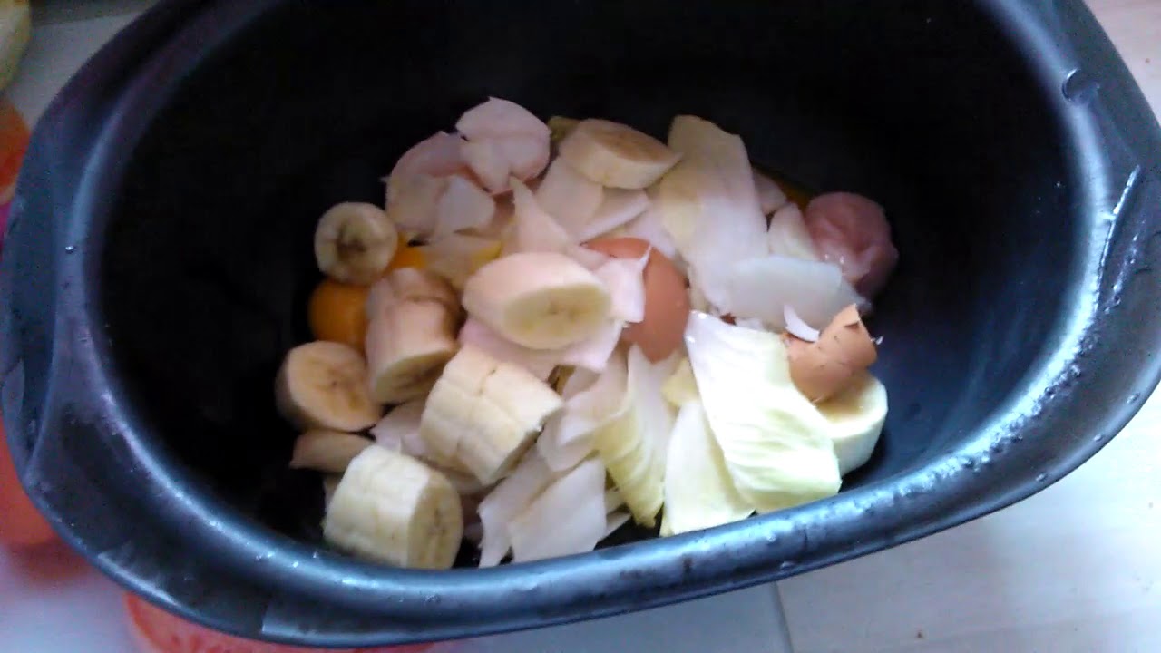 La Recette pour Nourrir un Tiliqua