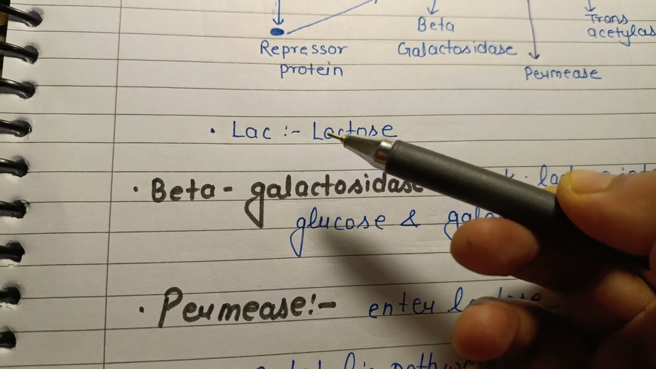 Molecular basis of inheritance revision class part 14#neet #education #question #physicswallah #yt 