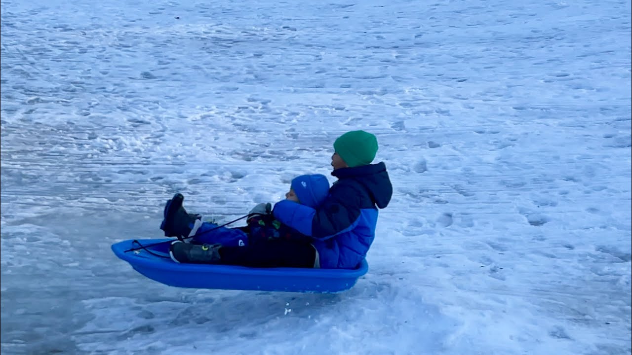 Rocky and Kairo’s sled day part4 February 16,2026