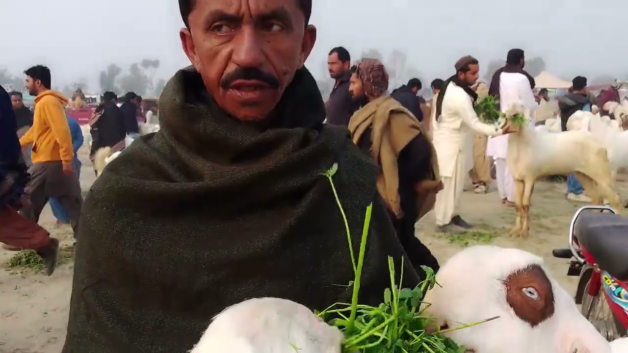  21 January 2006 Dera ghazi Khan mandi