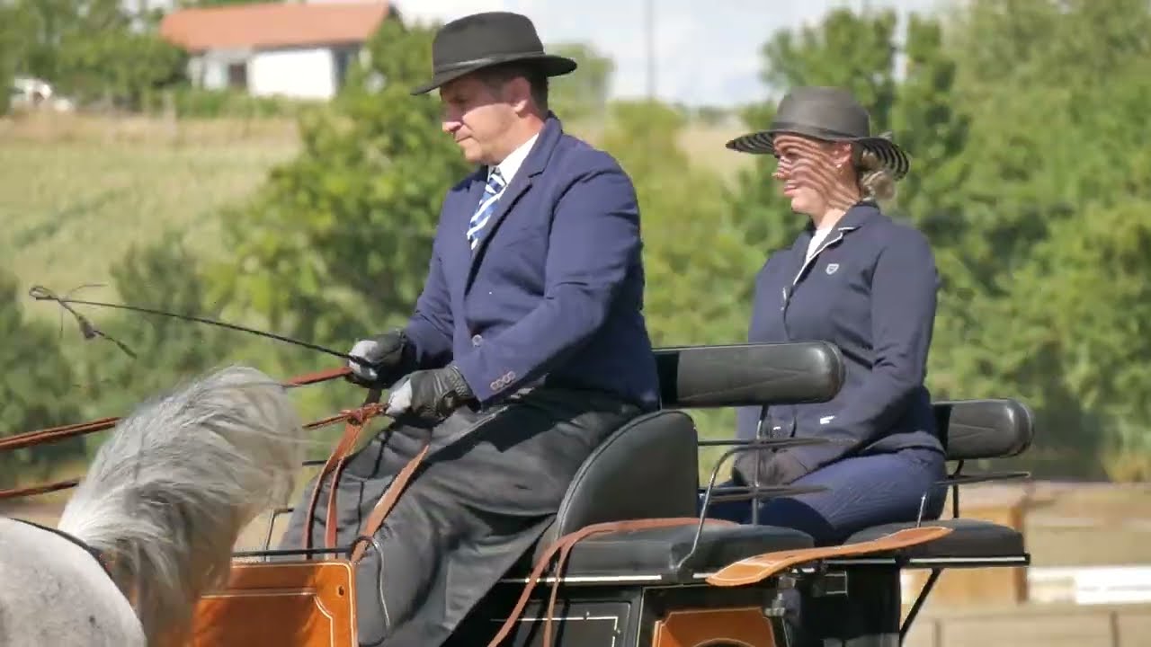 TALIÁNDÖRÖGD FOGATHAJTÁS / PÉNTEK DÍJHAJTÁS