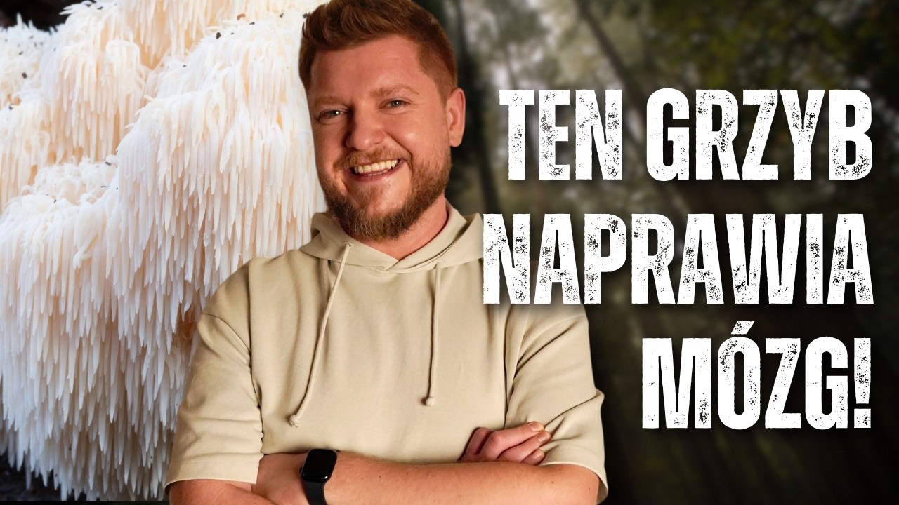Grzyb, który naprawi Twój mózg, poprawi pamięć i koncentrację! Soplówka jeżowata (Lion's Mane)