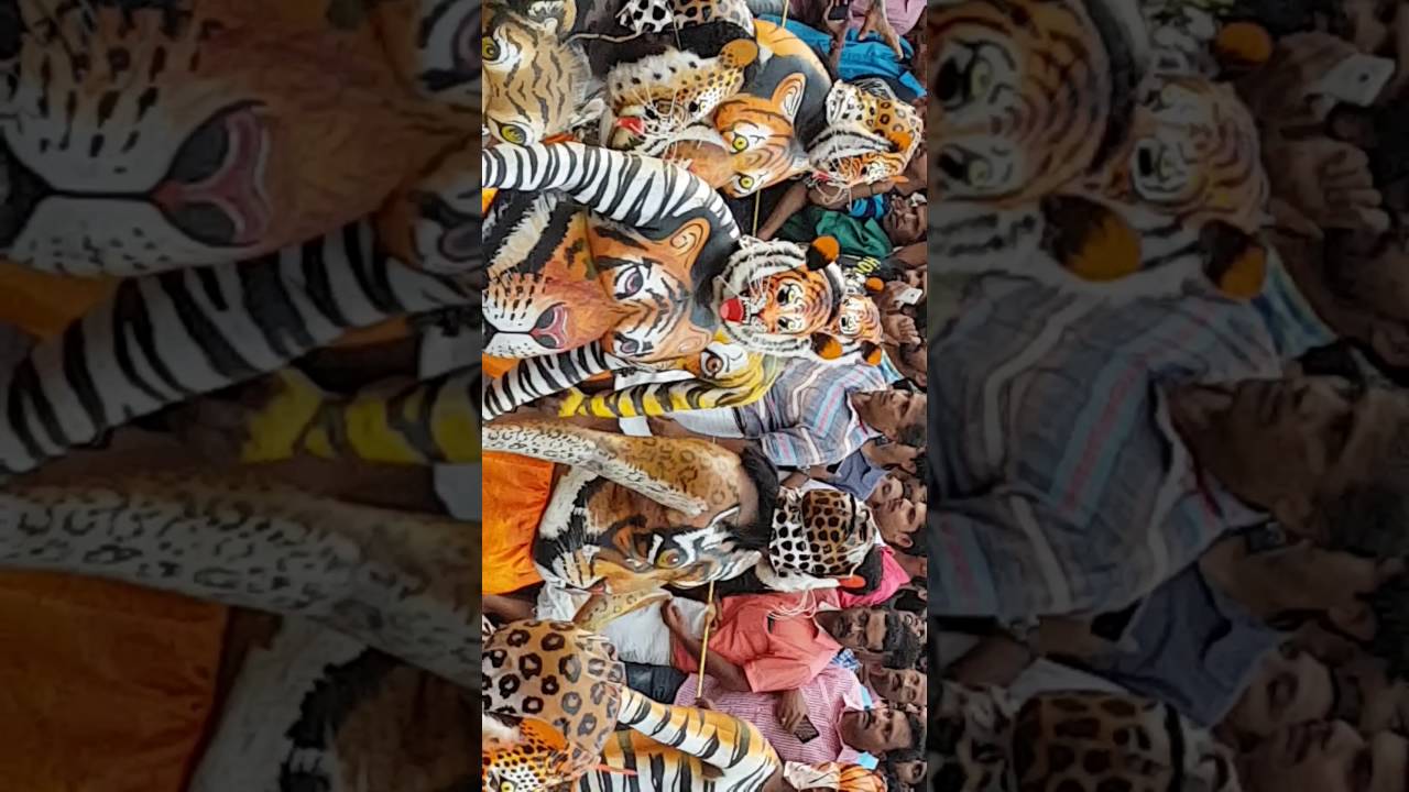 THRISSUR PULIKALI 2016