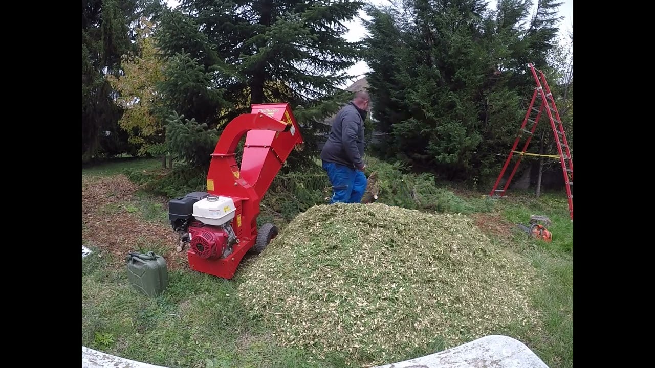 Broyeur DelMorino Scutum SCGX 390 : broyage de cyprès