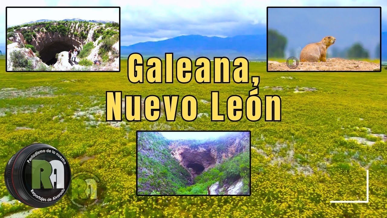 Galeana, Nuevo León | Reportajes de Alvarado Jueves 25 de Septiembre 2025 | Televisa Monterrey