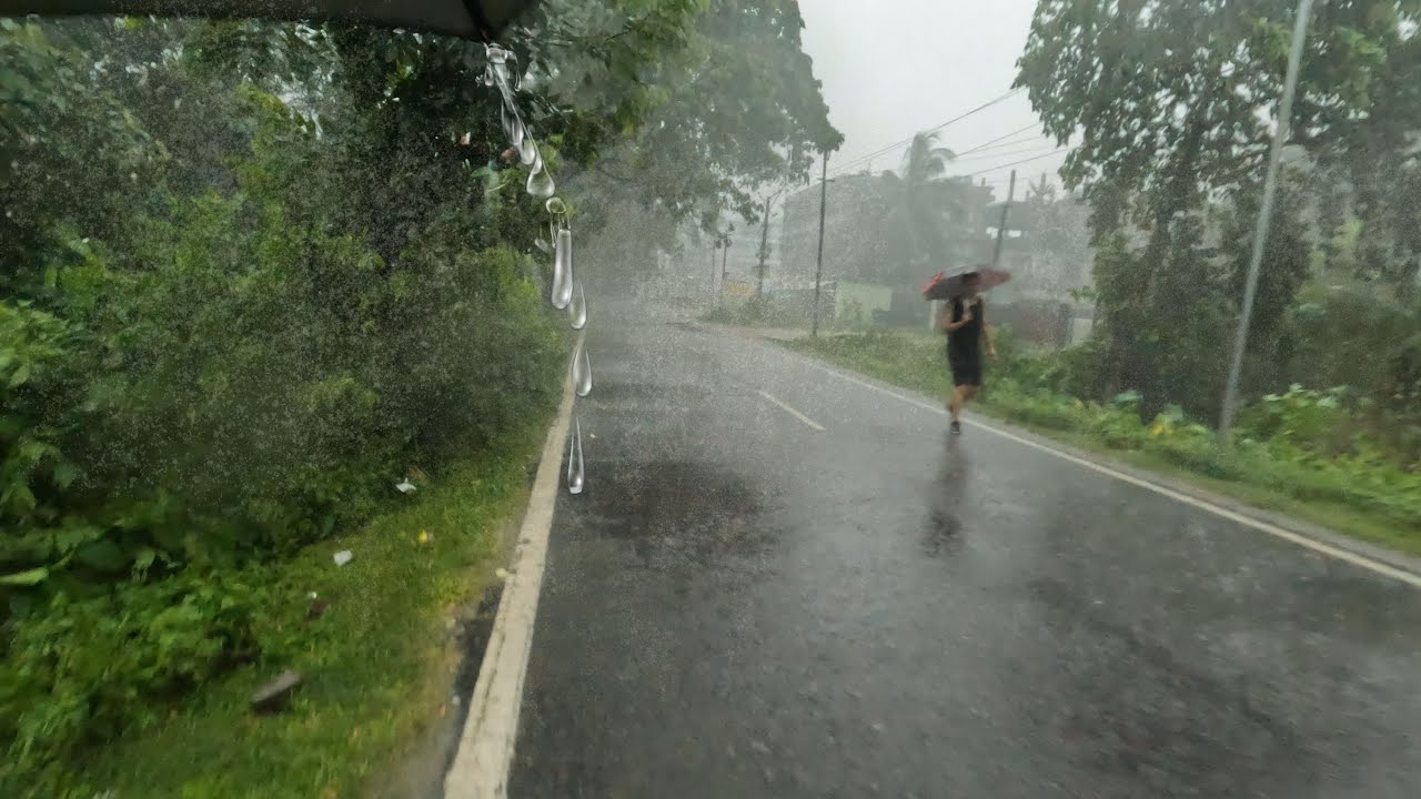 Rain and Thunder in Beautiful Assam,Umbrella, And Nature Sound For Relaxing 4k ASMR/ Rain Walk