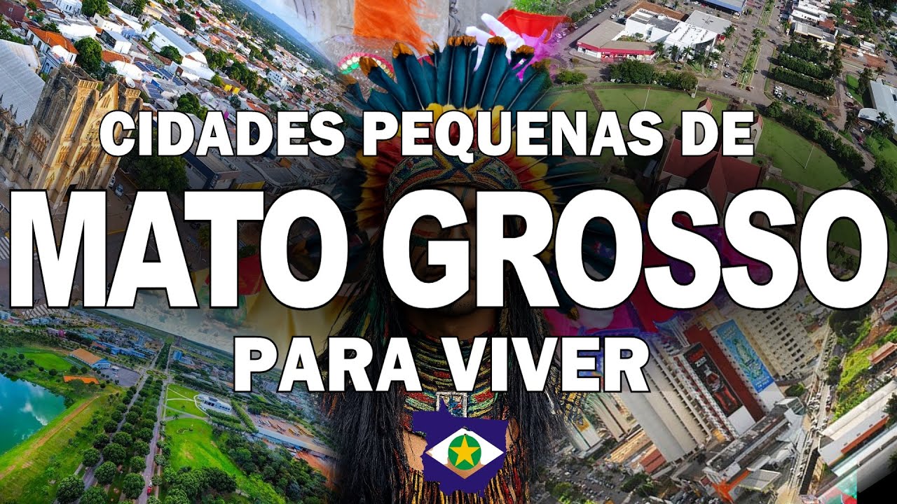 TOP 11 cidades 