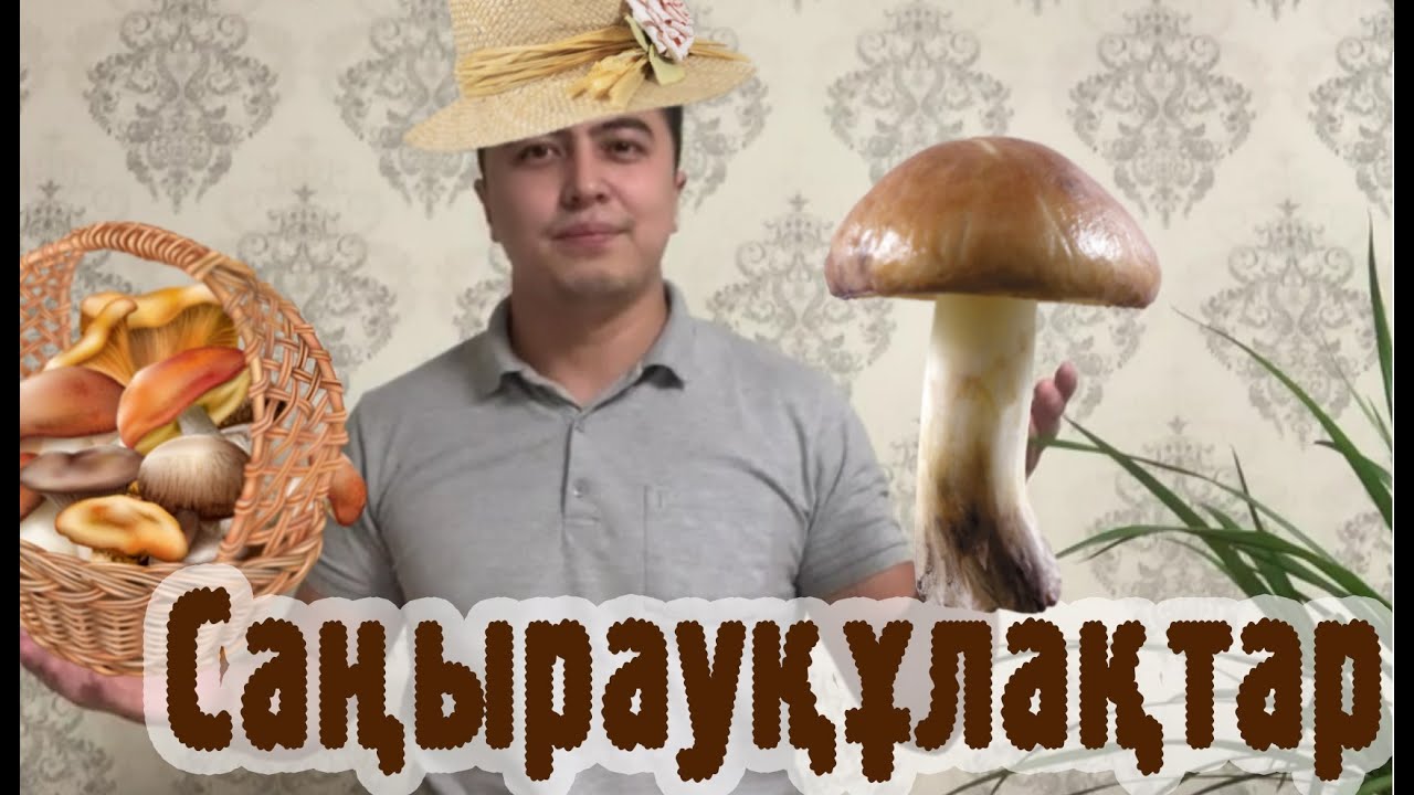 Саңырауқұлақтар