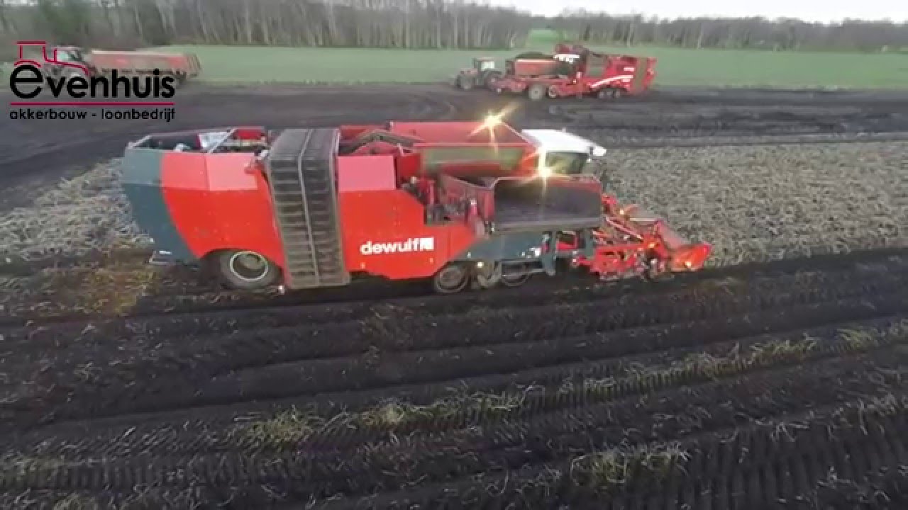 Aardappelen rooien met Dewulf kwatro, Dewulf RQA 3060 en Grimme varitron 470