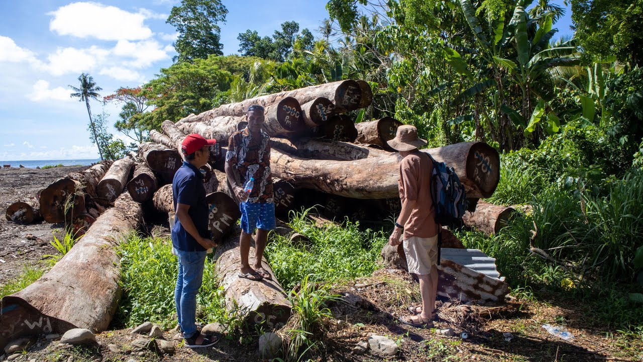 Solomon Islands: a way forward after logging