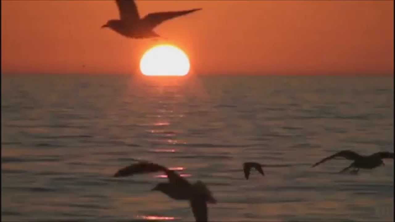 Pino Daniele - Mal di te