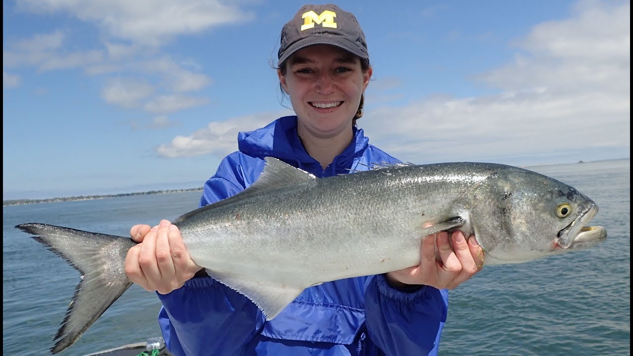 Fluke and Blue Fun with Katie!