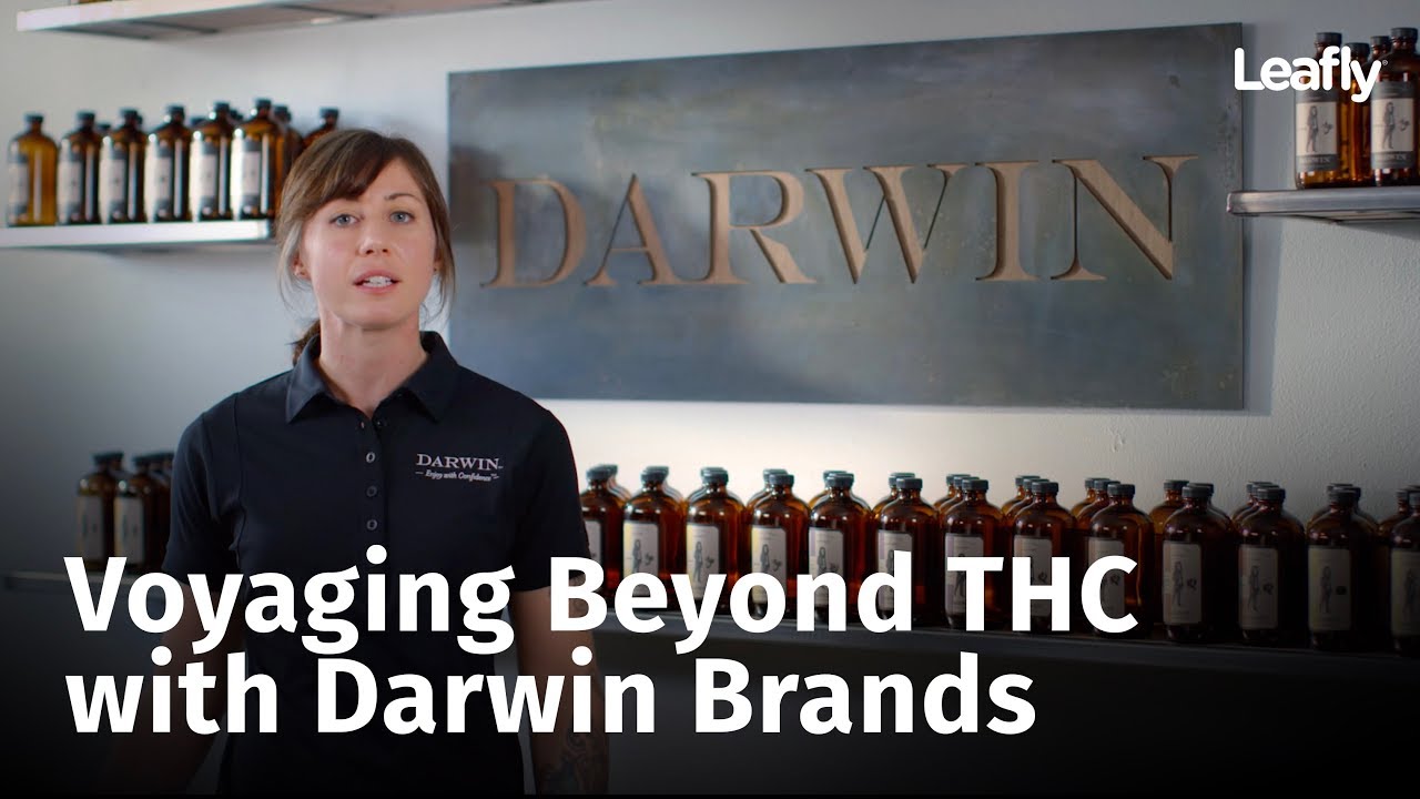 Voyaging Beyond THC with Darwin Brands