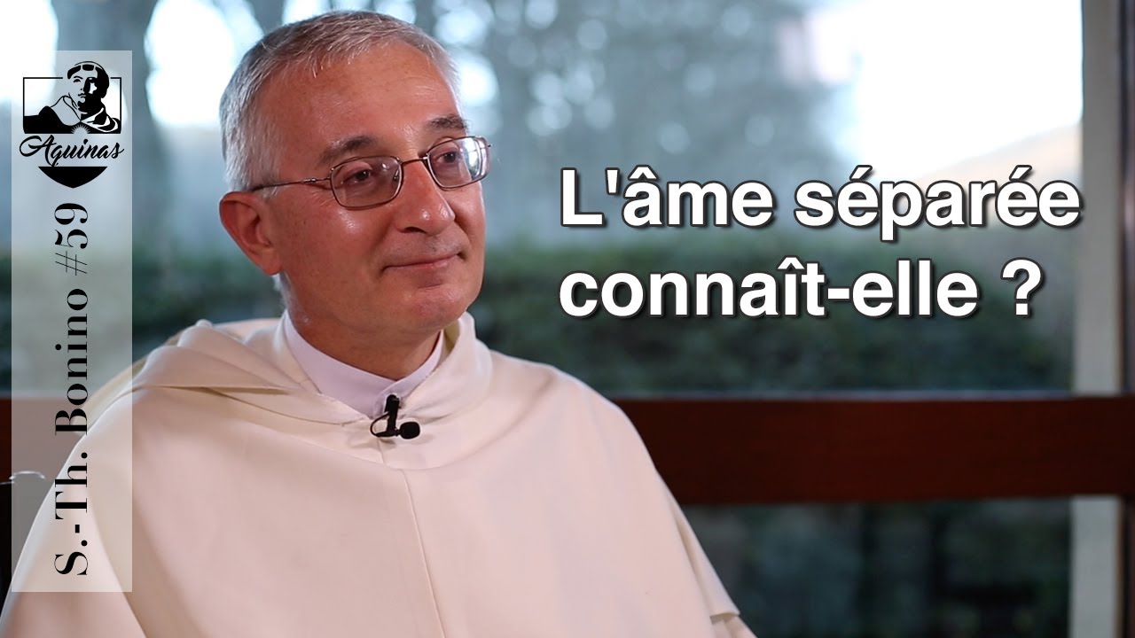 S.-Th. Bonino #59 : L'âme séparée connaît-elle ? (S. Th. I, 89 ; Q. D. Anima)