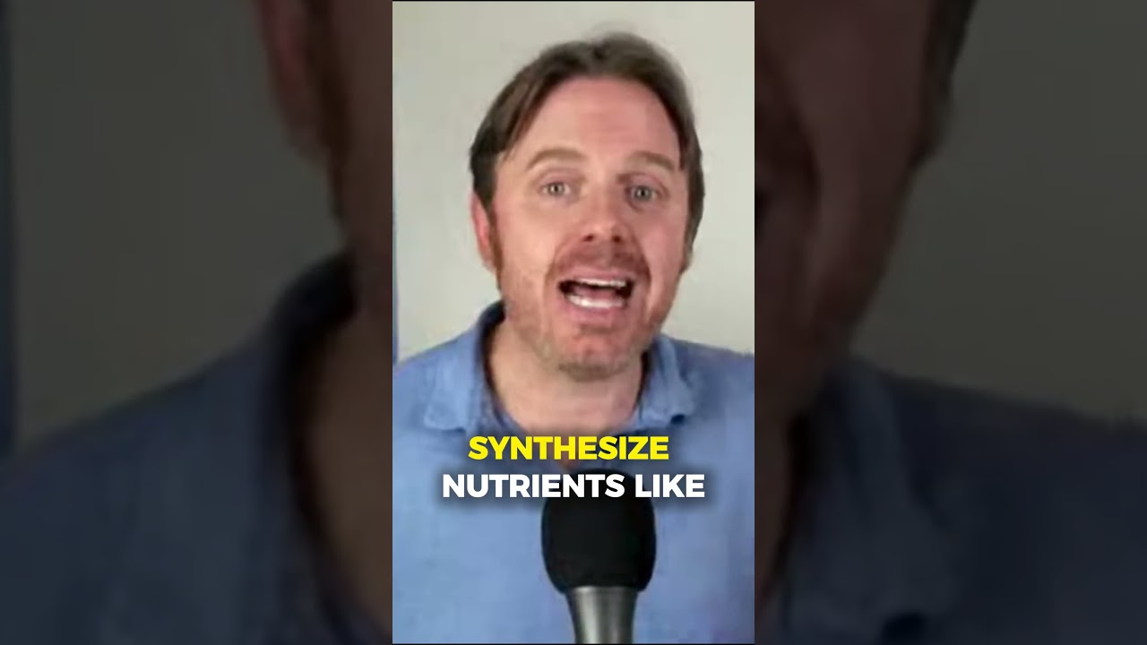 The Gut&ndash;Thyroid Connection No One Explains