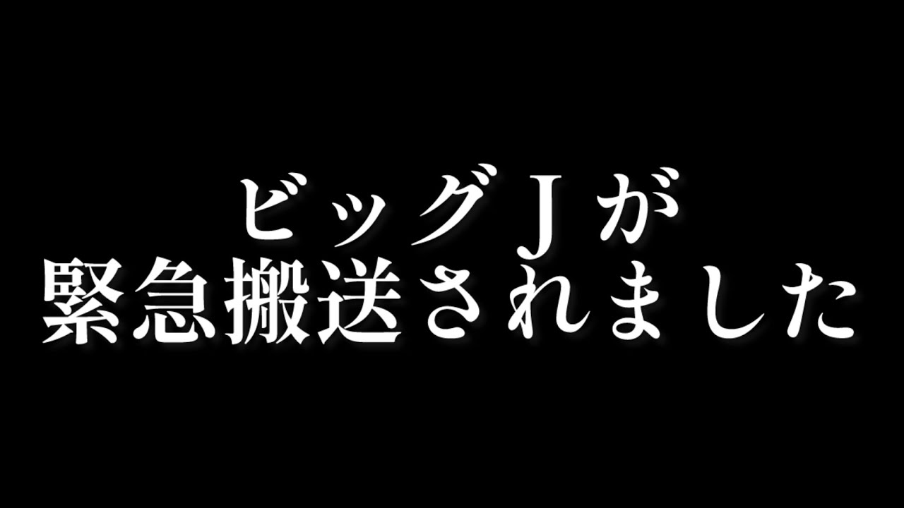ビッグJが緊急搬送されました