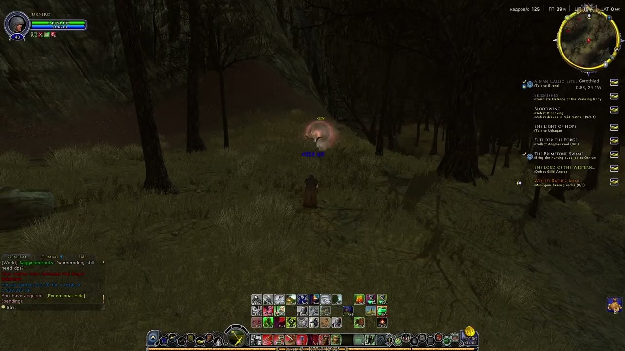 The Lord of the Rings Online™