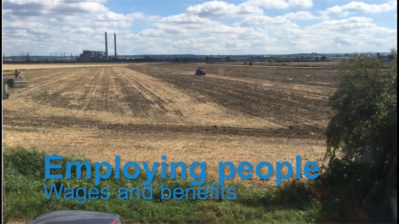Employing people - wages and benefits