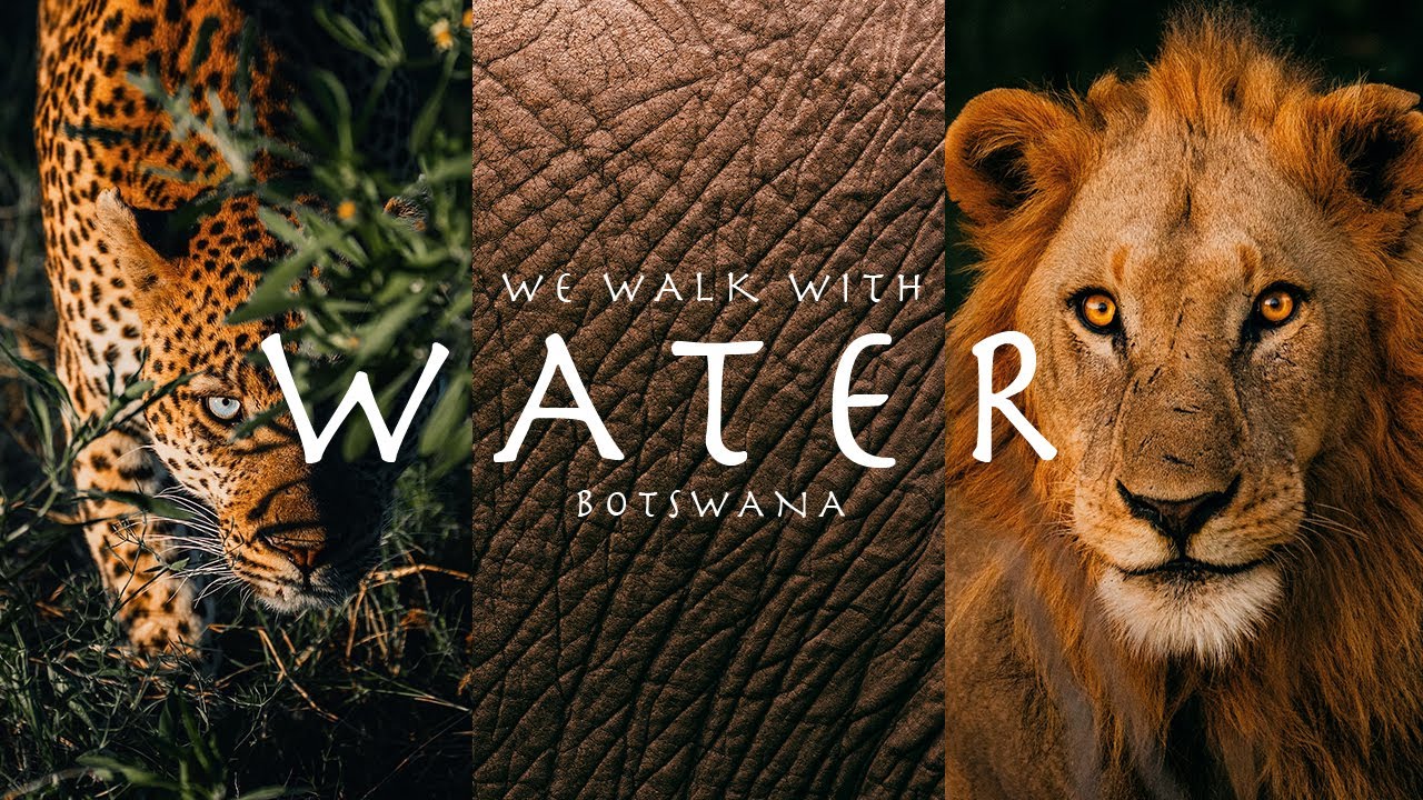 We Walk With Water | A short cinematic film from Botswana