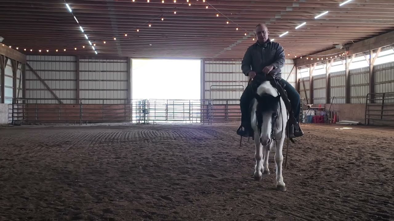 Stopping your horse: Not just for reiners @_thenaturalhorseman