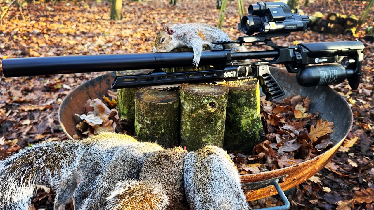 SLASHING PEST SQUIRRELS - TAIPAN SLASH & DNT THERMNIGHT 335