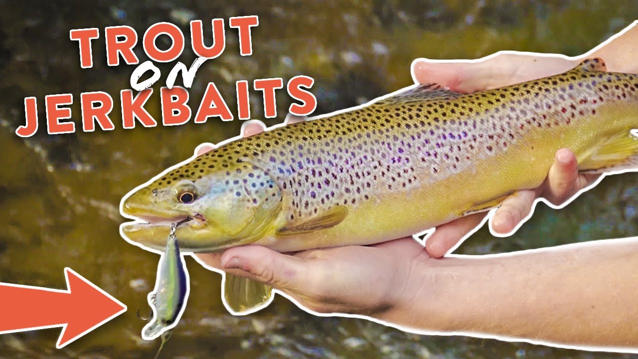 Fishing For BIG Wild Brown TROUT With Jerkbaits!