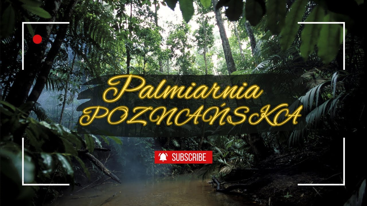 Palmiarnia Poznańska &ndash; Zielona oaza w sercu miasta🌴🌺